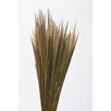 NAVAJO GRASS 24-30" Natural